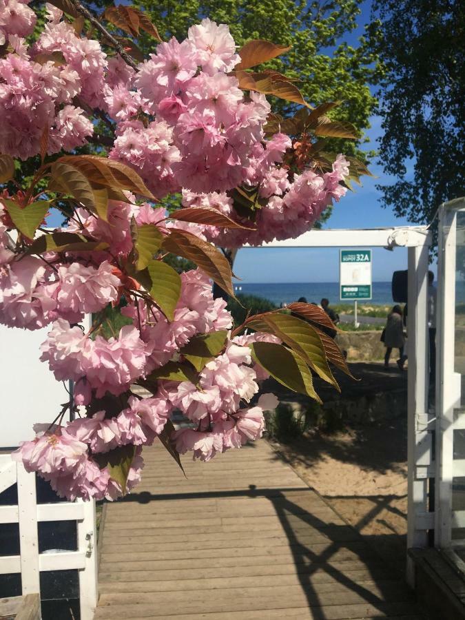 Blue Boat Apartment Sopot Bagian luar foto